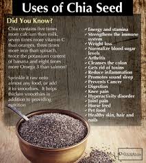 Chia seed termasuk kategori super food karena. Chia Seed Berkesan Ke Untuk Kurus Cikguzim
