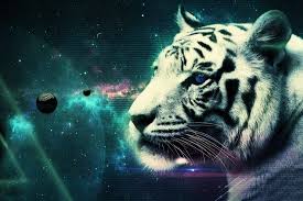  Cool White Tiger Wallpaper 25689 2560x1440 Px Hdwallsource Tiger Wallpaper Cool Wallpapers Backgrounds Cool Wallpaper