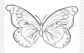 Gambar kupu kupu hitam putih untuk diwarnai. Buku Mewarnai Kupu Kupu Garis Besar Kupu Kupu Anak Sikat Footed Butterfly Png Pngegg