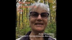 Anne Steinberg's Instagram, Twitter & Facebook