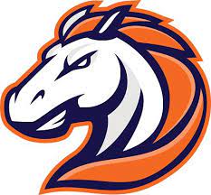 Horse Mascot Vector Art Illustration Sports Logo Design Horse Logo Mascot