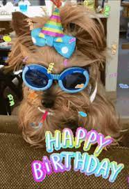 Share the best gifs now >>> Birthday Dog Gifs Tenor