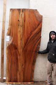 Sycamore Live Edge Wood Slab Sycamore Wood Live Edge Wood Wood For Sale