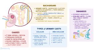 These variables are deﬁned at the (3) nursing intervention is a treatment that nurses perform in. Hyaline Casts What Are They Causes Diagnosis Treatment And More Osmosis