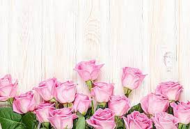 Pink Roses Wedding Background Flower Background Wallpaper Pink Background Images Background For Photography