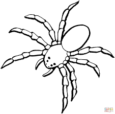 In these page, we also have variety of images available. Spider Coloring Pages Printable Coloring Home