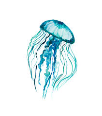 Maybe you would like to learn more about one of these? Jellyfish Png Transparent Hd Png Lux