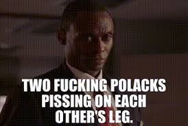 YARN | Two fucking Polacks pissing on each other's leg. | The Wire (2002)  Drama | Video gifs by quotes | 81929b02 | 紗
