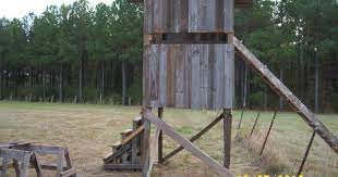 Night shyamalan's 'old' proves time is the most valuable thing we have Hunting Shoot House Jagd Einrichtung