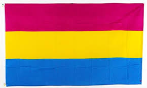 Mae whitman said on monday that she is pansexual in a tweet discussing her disney animated series the owl house. Flags Importer Pansexual Flag 3x5ft Poly Flagge Mehrfarbig 3x5 Feet Amazon De Garten