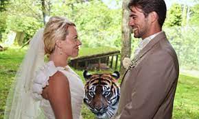 Hilarious moment couple's wedding photo is 'photobombed' - by a TIGER after  they hold zoo reception | Daily Mail Online