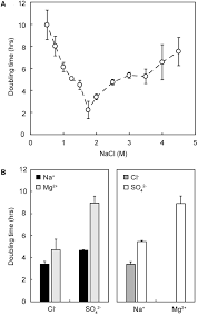 Frontiers Building A Geochemical View Of Microbial Salt