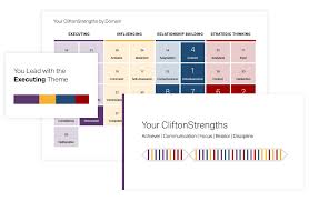 Strengthsfinder 2 0 En Gallup Strengths Based Leadership Career Counseling Interactive Tools
