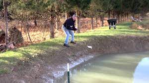 How to stop a pond from leaking. Spreading Bentonite To Fix Leaking Pond Youtube