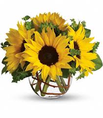 Our professional florists use the freshest, crispest flowers to prepare their handmade bouquets, arrangements, and floral baskets. St Josephs Hospital Get Well Flowers Same Day Delivery William S Flowers