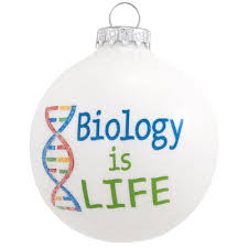 Biology Is Life Ornament Teacher Christmas Gifts Old World Christmas Ornaments How To Make Ornaments