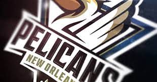 Pelicans Logo Design Sports Logo Design Logo Design Inspiration