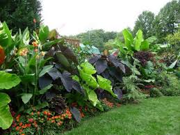 Pin On Gardening Ideas