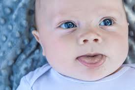 Took this ones yesterday with my canon T7 practicing with some shots. 🙏🏼