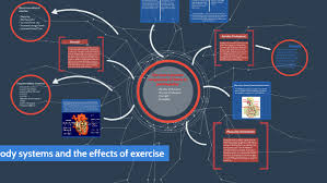 fitness body systems and the effects