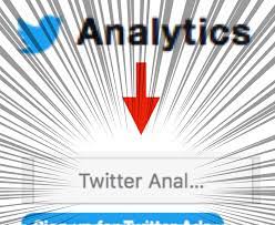 Twitter anal