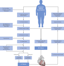 Parents can use a behavior modification plan to teach their children to have good habits. Healthy Weight And Obesity Prevention Jacc Health Promotion Series Sciencedirect