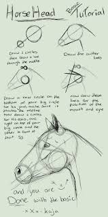 Horse Head Basic Tutorial By Kajanijssen Horse Drawing Tutorial Horse Head Drawing Horse Drawings