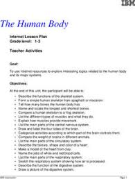Skeletal System Lesson Plans Worksheets Lesson Planet