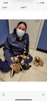 We did not find results for: Happy Pets Veterinary Hospital Home Facebook