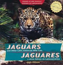 The animal's death provoked outrage, similar to that of a captive gorilla earlier.2829. Jaguars And Other Latin American Wild Cats Jaguares Y Otros Felinos De Latinoamerica Zella Williams 9781435833784