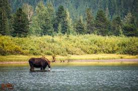 Jetzt eine riesige auswahl an gebrauchtmaschinen von zertifizierten händlern entdecken. 10 Things You Can T Miss On Your First Visit To Glacier Page 2 Of 3 Dirt In My Shoes