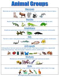 super subjects super science life science animal