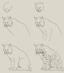 How To Draw Lynx Cat Drawing Tutorial Animal Drawings Drawings