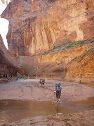Only 20 people are allowed per day, and the. 7 Things To Know Before Hiking Paria Canyon Vermilion Cliffs Wilderness Just Roughin It