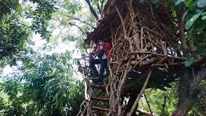 Omah Pang, Destinasi Unggulan Desa Wisata Nongkosawit - TIMES Indonesia