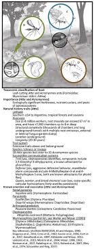 When he was with me he was not like that, but that has no bearing on whether he was like that with others before or after. Frontiers Interspecific Eavesdropping On Ant Chemical Communication Ecology And Evolution