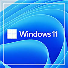 Windows 11 기념 아마존 앱스토어를 살펴보았습니다. Fwwivw41v0qppm