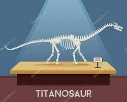 craneo dino images vectorielles vecteurs libres de droits depositphotos coloriage orignal