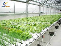 Pin By Amy Turner On Greenhouse Hydroponics Hydroponic Gardening Hydroponic Gardening System