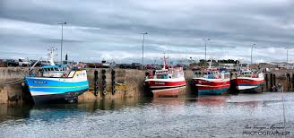 The Fishing Boats During The Low Tide Roscoff Brittany Pier Giorgio Mariani Photographer Www Piergiorgiomariani It