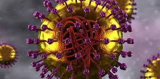 Image result for measles