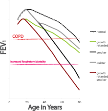 Copd Pathogenesis Epidemiology And The Role Of Cigarette