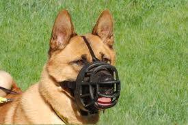 Baskerville Ultra Muzzle Company Of Animals