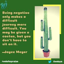 A cactus is just a really aggressive cucumber. Wellington M On Twitter Being Negative Only Makes A Difficult Journey More Difficult You May Be Given A Cactus But You Don T Have To Sit On It Joyce Meyer Joycemeyer Thoughtfortheday Wordstoponder