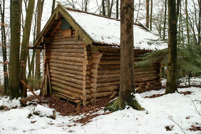 How to Build a Cabin in the Woods: the Definitive Guide (2022)
