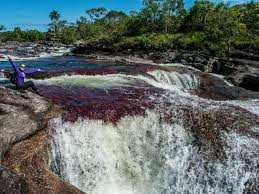 Caño cristales is a colombian river located in the serrania de la macarena province of meta, and is a tributary of the guayabero river. Expedicion La Macarena Y Cano Cristales Meta Almas Aventureras