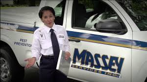 New smyrna beach vacation packages. Massey Services Pest Prevention Orlando Service Pest Control