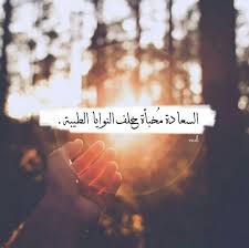 pin by rose ali on همس الكلام photo quotes queen quotes beautiful phrases