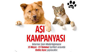 Avcilar Da Kuduz Asisi Kampanyasi Yeni Soluk