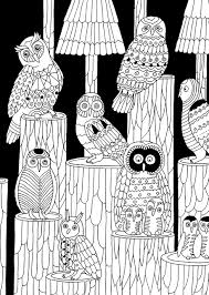 Kostenlose mandala malvorlagen für kinder und erwachsene mit vielen wunderschönen neuen motive zum herunterladen, ausdrucken und ausmalen. Eulen Malbuch Fur Erwachsene Malblock Fur Erwachsene Nacht Edition Nacht Edition Auf Schwarzem Hintergrund Malbuch Fur Erwachsene Nacht Edition Ausmalbilder Auf Schwarzem Hintergrund Amazon De Lena Schaffer Bucher